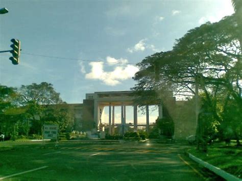 hotels near university of the philippines|The Best Hotels Closest to University of the Philippines.